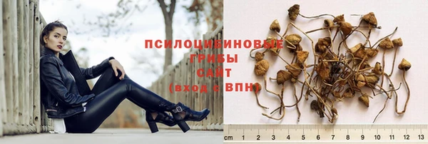 крисы Покровск