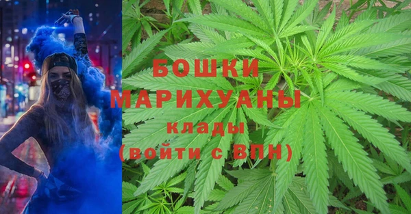 гашик Покачи