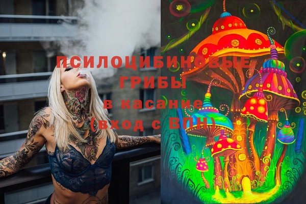 крисы Покровск