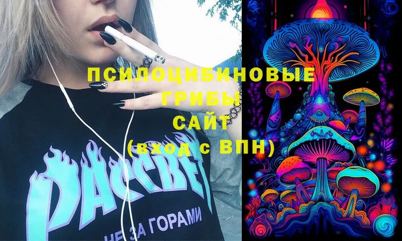 сколько стоит  Артёмовский  Псилоцибиновые грибы MAGIC MUSHROOMS 